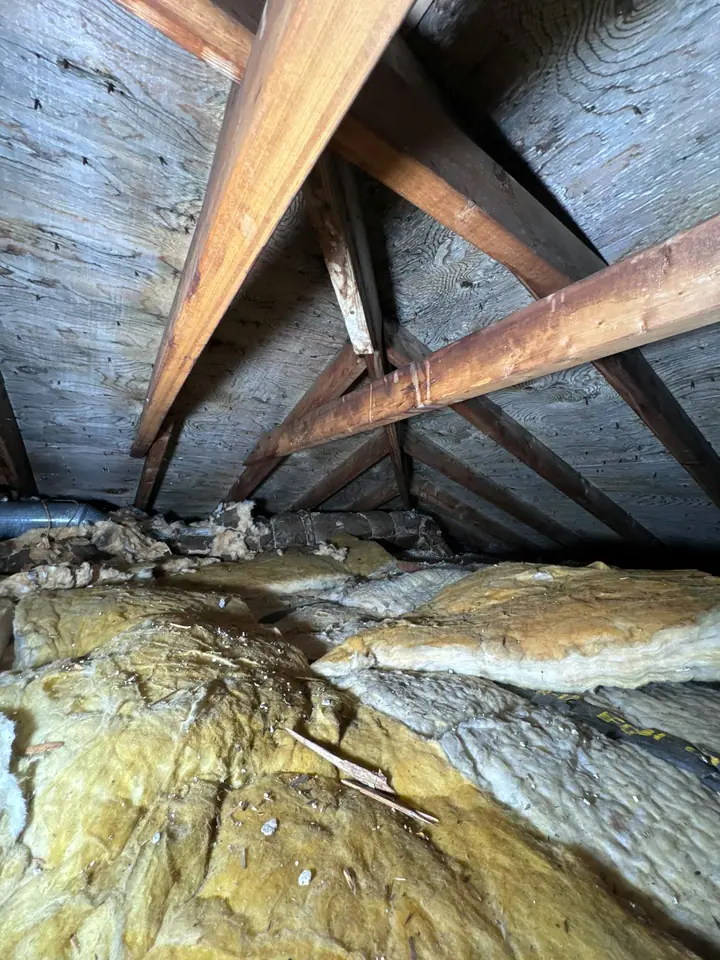 Blown-In Insulation